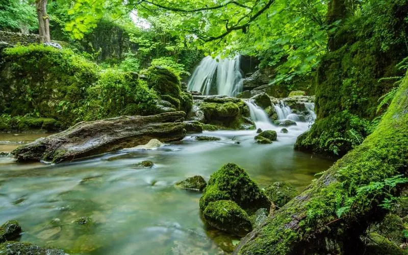 高标准智能系统